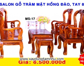 BỘ SALON GỖ TRÀM BÔNG VÀNG MẶT HỒNG ĐÀO- 6 MÓN - TAY 8 BỘ SALON GỖ TRÀM BÔNG VÀNG MẶT HỒNG ĐÀO- 6 MÓN - TAY 8