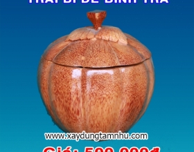 ẤM TRÀ BẰNG GỖ DỪA ẤM TRÀ BẰNG GỖ DỪA