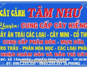 Cây lâu năm 2 Cây lâu năm 2